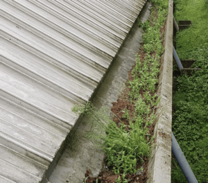 Happy customers in Carterton who trust The Roof Moss Cleaners for gutter cleaning services